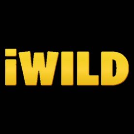iWild Casino licencia Curaçao Chile
