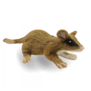 Monito del Monte